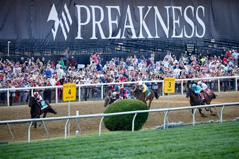 preakness current betting odds.
